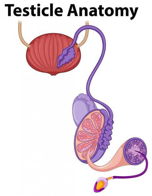 Acute interstitial nephritis due to pantoprazole